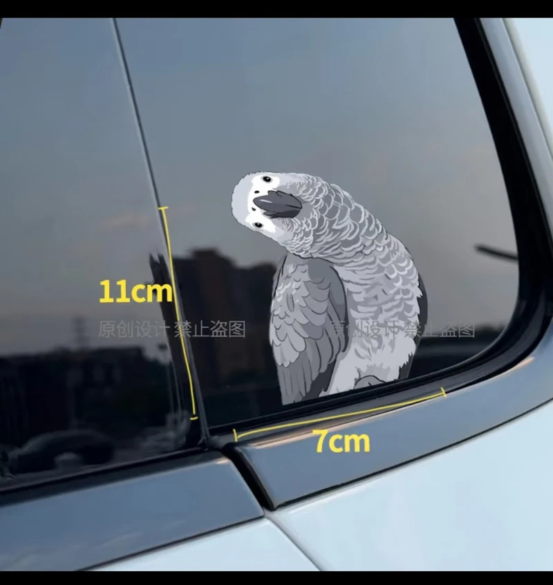 African grey parrot window decal